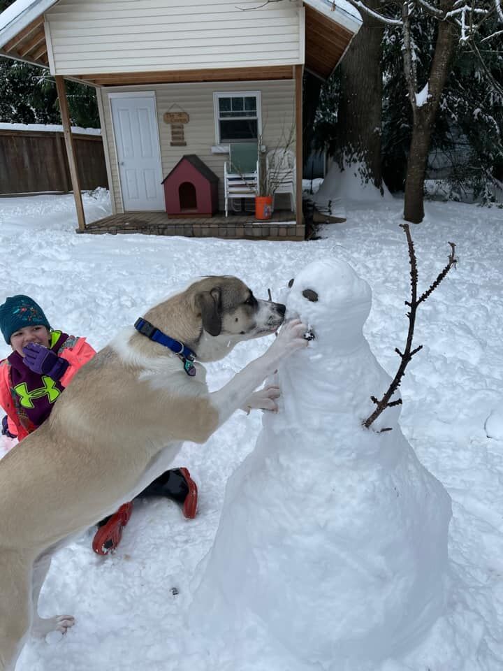 210217.news.snow.day.rb.1.jpg